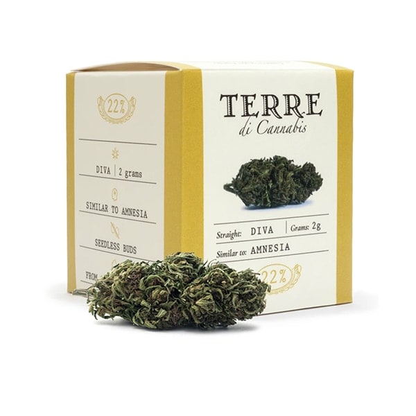 Flores de CBD Diva de Terre di Cannabis