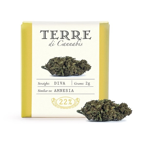 Flores de CBD Diva de Terre di Cannabis