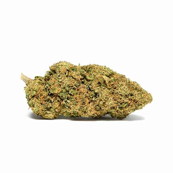Low Rider (Gelato Sundae) CBD loreak – Cannactiva