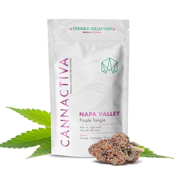 Flores de CBD Napa Valley (Purple Tangie) de Cannactiva