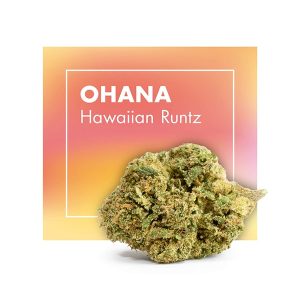 Ohana (Hawaiian Runtz) CBD loreak – Cannactiva