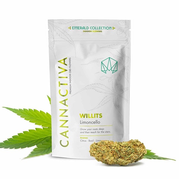 Flores de CBD Willits (Limoncello) de Cannactiva