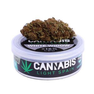 White Widow CBD loreak – Cannabis Light