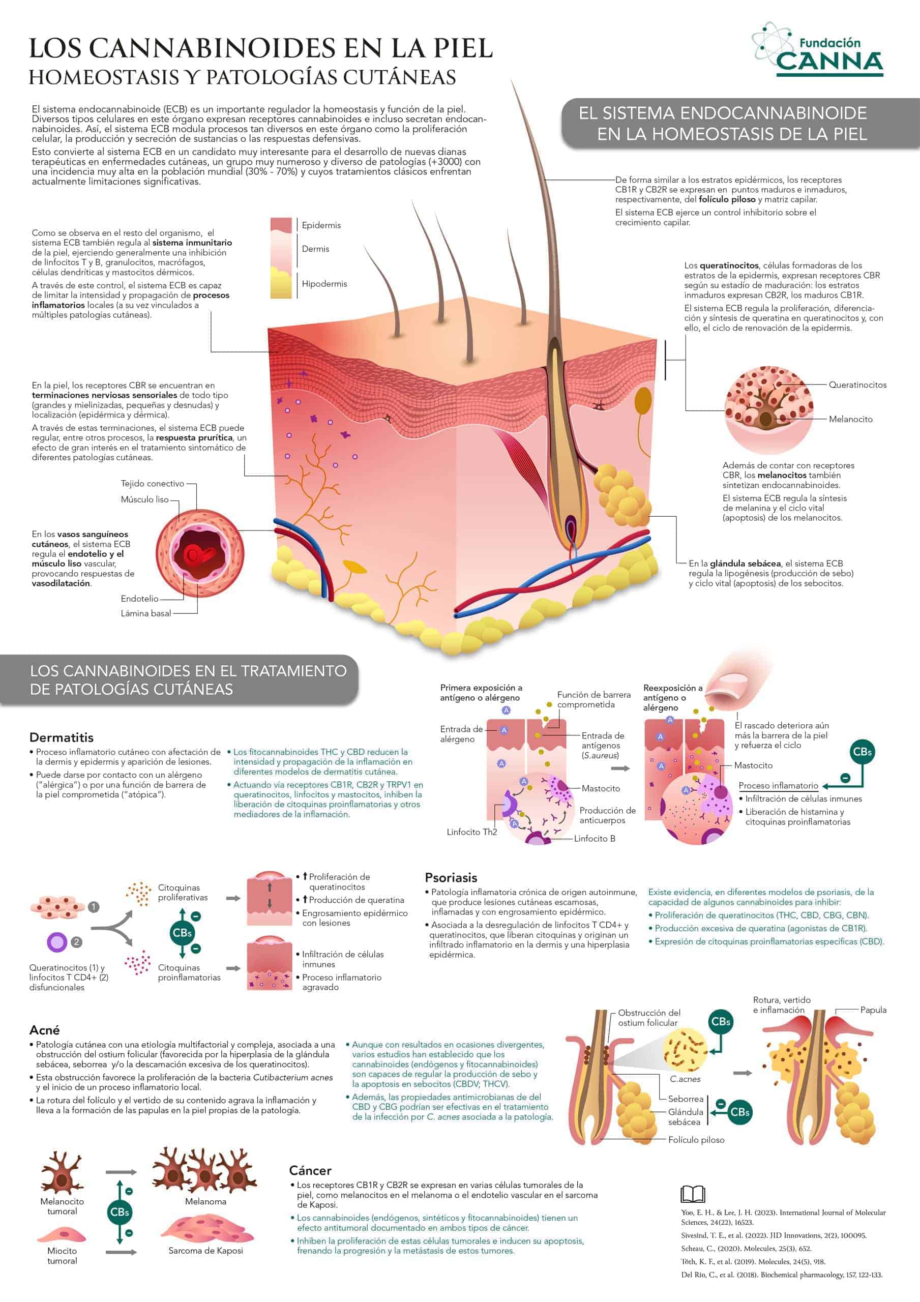Infografía de Fundación Canna