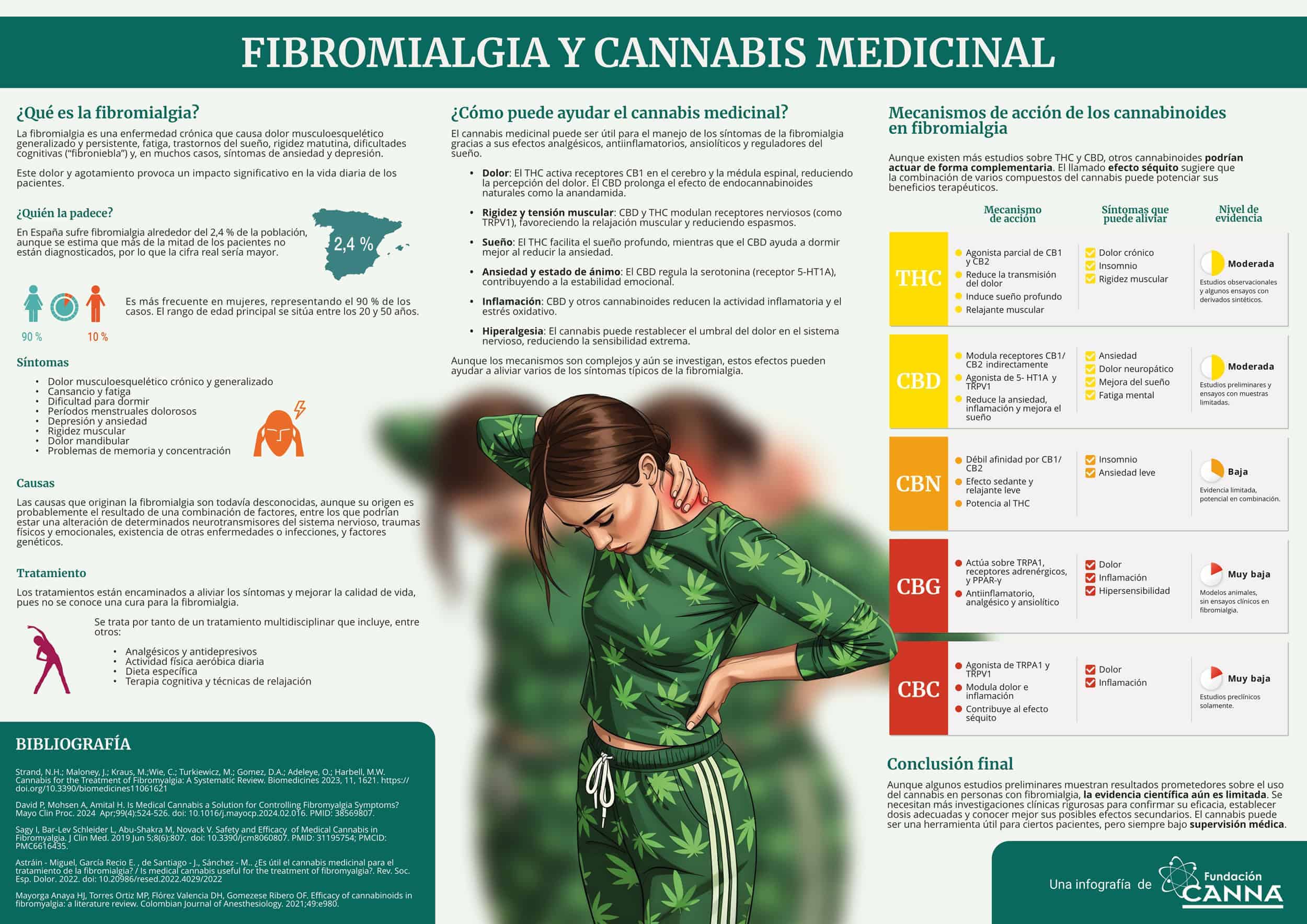 Canna Fundazioaren infografia