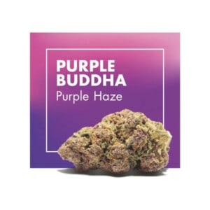Purple Buddha (Purple Haze) CBD loreak – Cannactiva