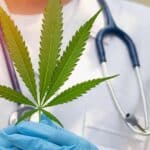 Kannabis medizinalaren prestakin estandarizatuen formulazioa (AEMPS)