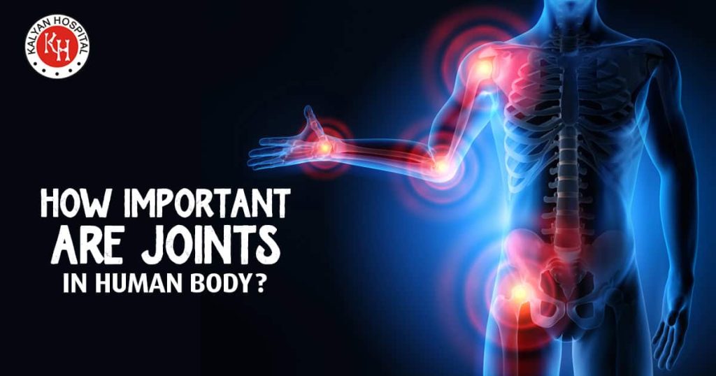How Important are Joints in Human Body