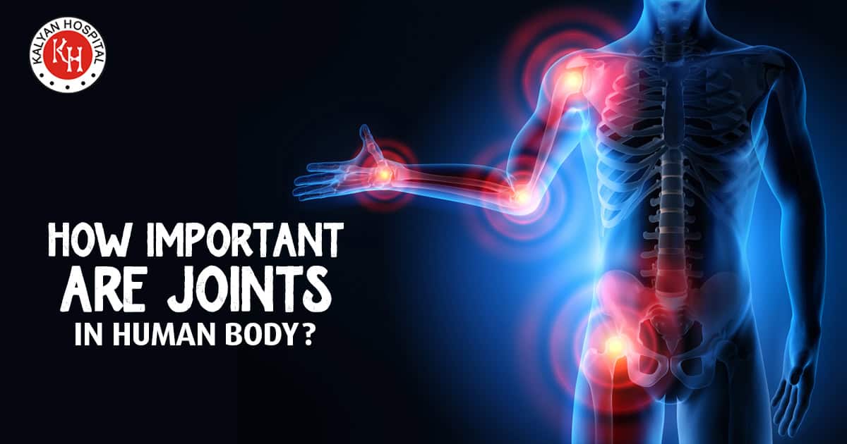 How Important are Joints in Human Body