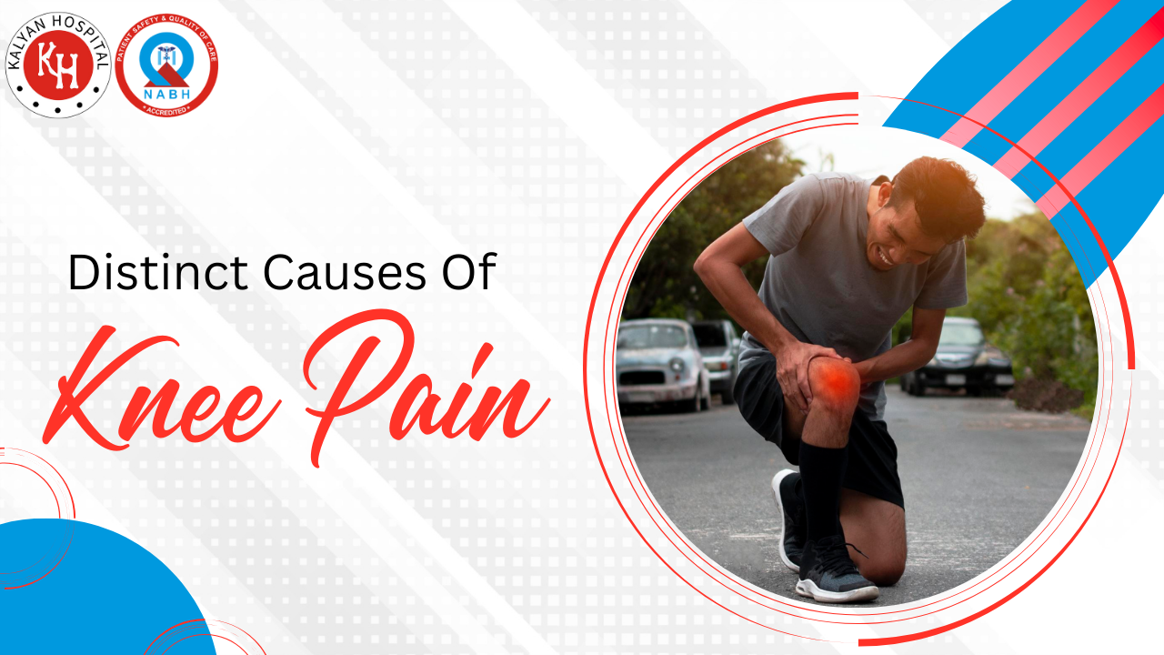 Provide me an Alt Text for this