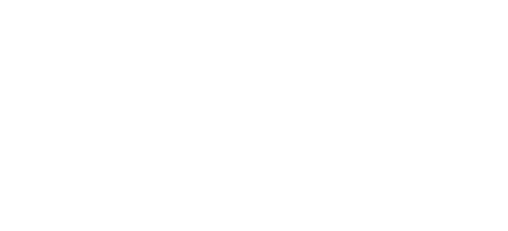 White "FOX" logo with stylized fox graphic on the left and horizontal lines underneath, set against a black background—perfect for your camp’s footer design.