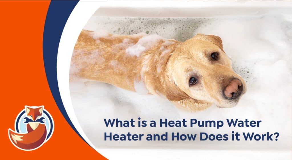 A golden retriever lies in a bathtub filled with water and suds. Text reads: "Heat Pump Water Heater: How Does It Work?" Fox logo is in the corner.