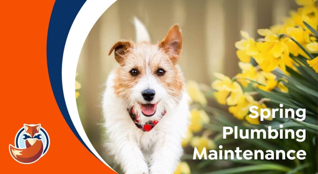 A small dog with a red collar runs past yellow flowers; text reads "Spring Plumbing Maintenance" next to a cartoon Fox holding a wrench, sharing helpful Plumbing Tips.