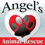 Logo for Angel’s Animal Rescue featuring a red and white heart with a black paw print in the center, and the text “Angel’s Animal Rescue” above and below the graphic.