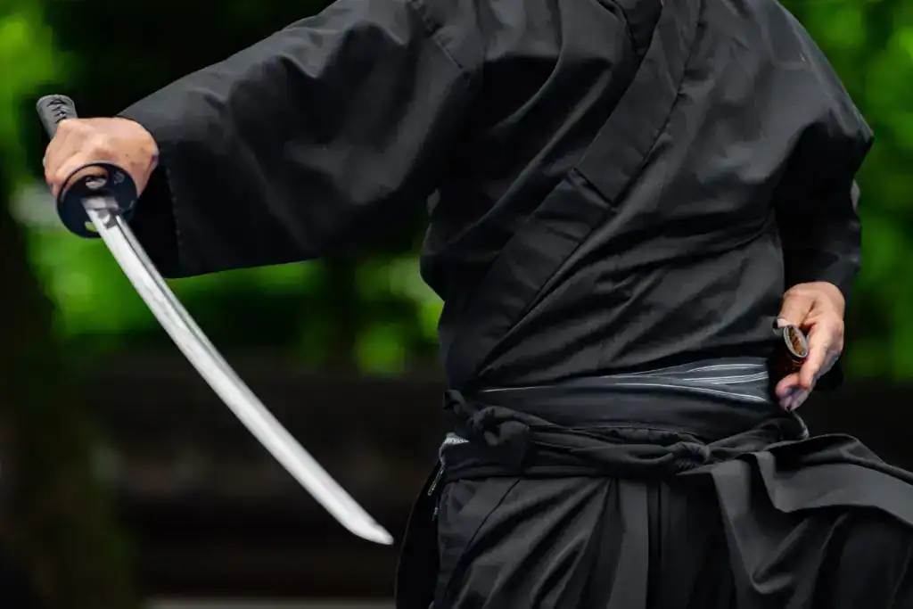 Iaido draw and cutting motion