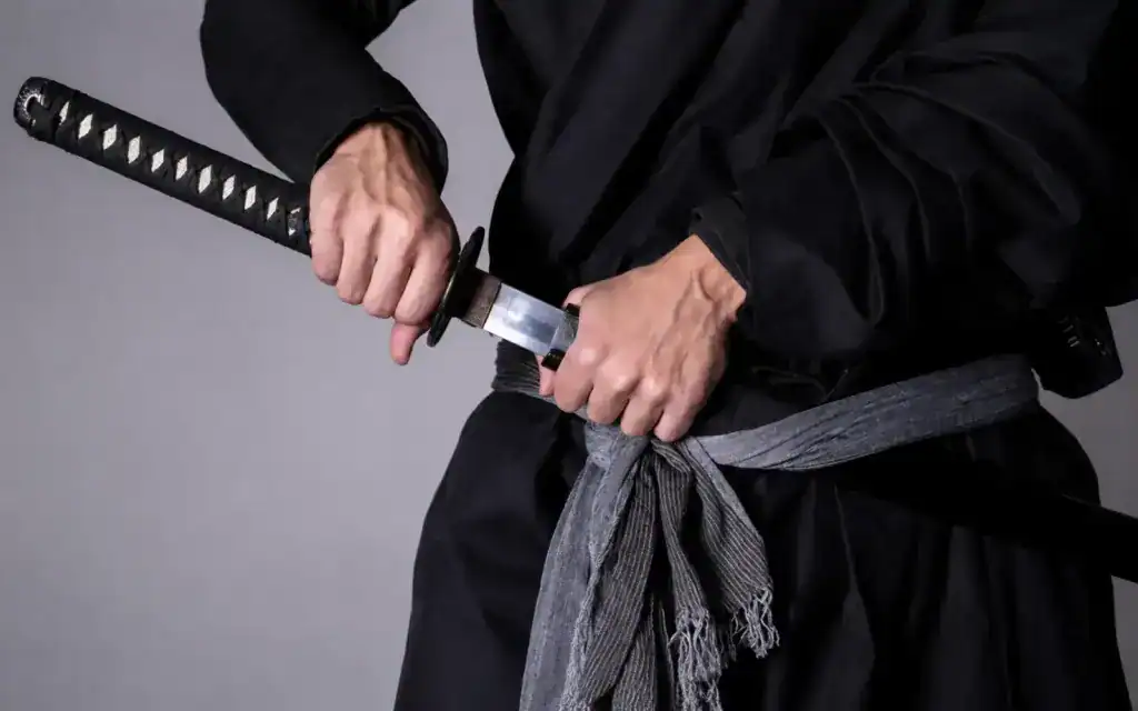 hands gripping katana and saya