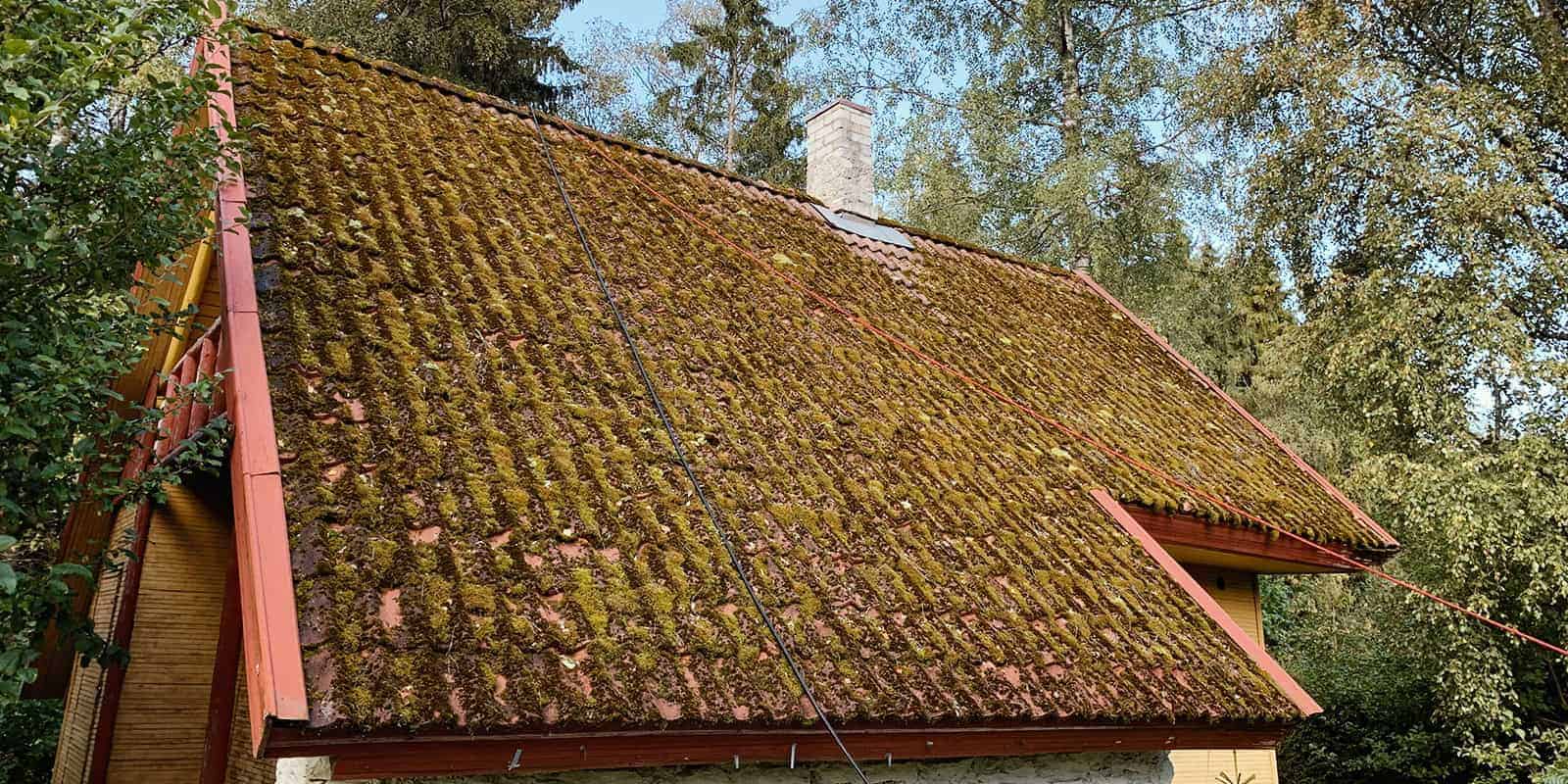 Katuste pesu Haapsalu - Enne pesu