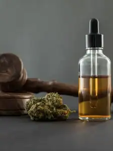 Cannabis oil dropper with dried marijuana buds and judge's gavel in the background, symbolizing legal medical marijuana use and cannabis law.