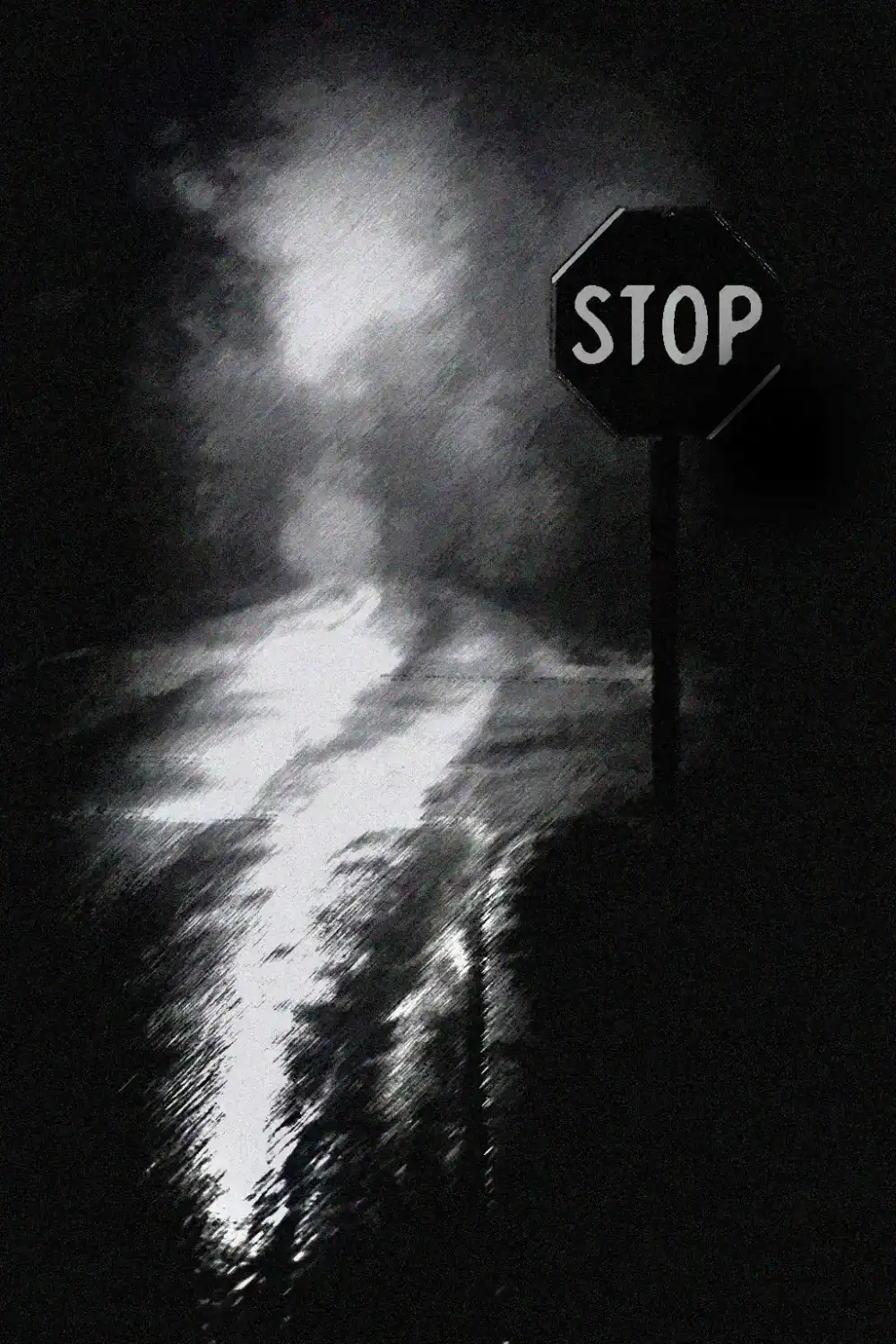 Shadows and light on a wet street with a stop sign in black and white.