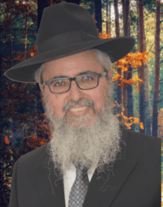 הרב יגאל אלון