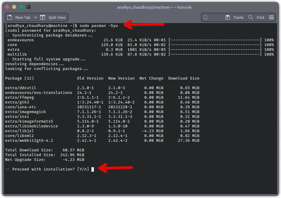 Updating system packages 