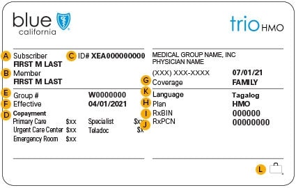 Insurance Card Information