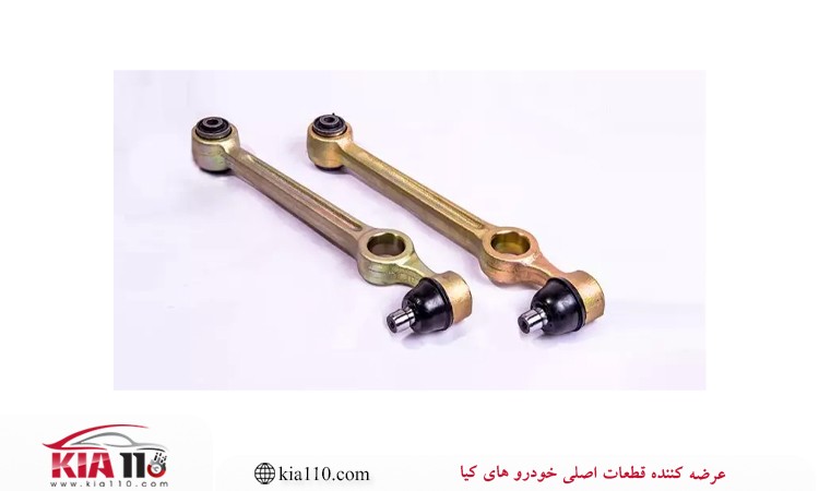 بوش طبق چیست؟