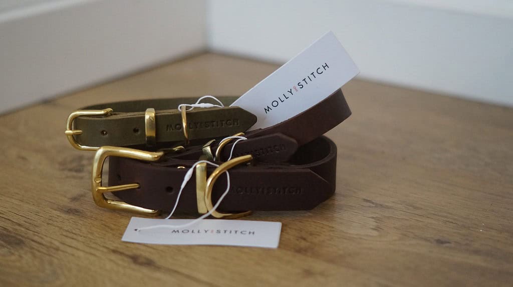 Halsbänder Hundegeschäft Berlin