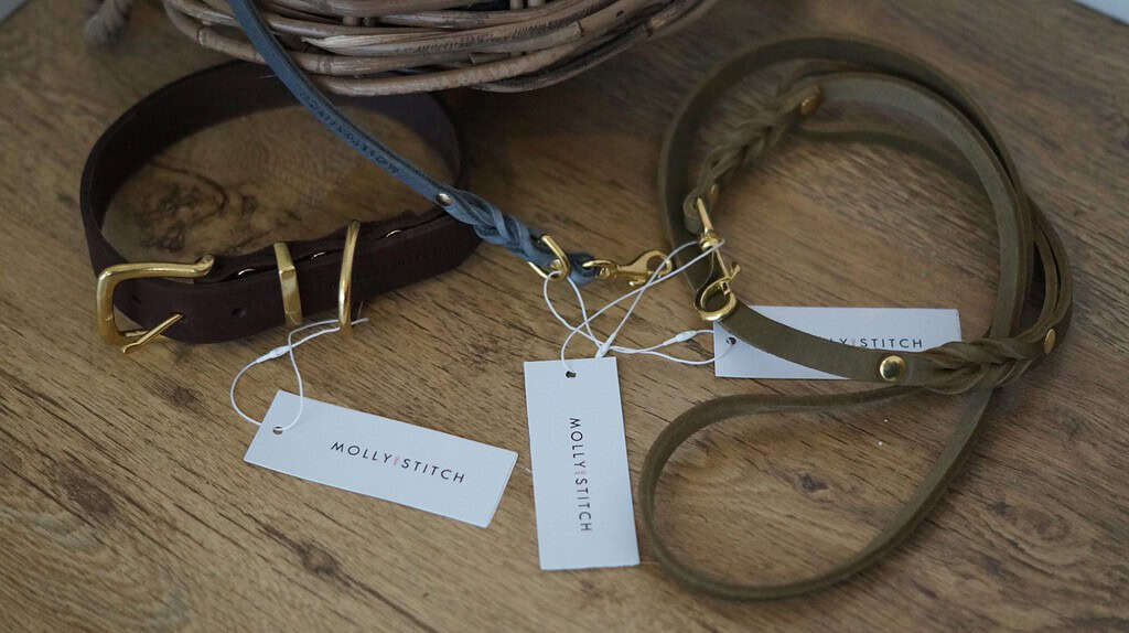 Molly and Stitch Hundeleine