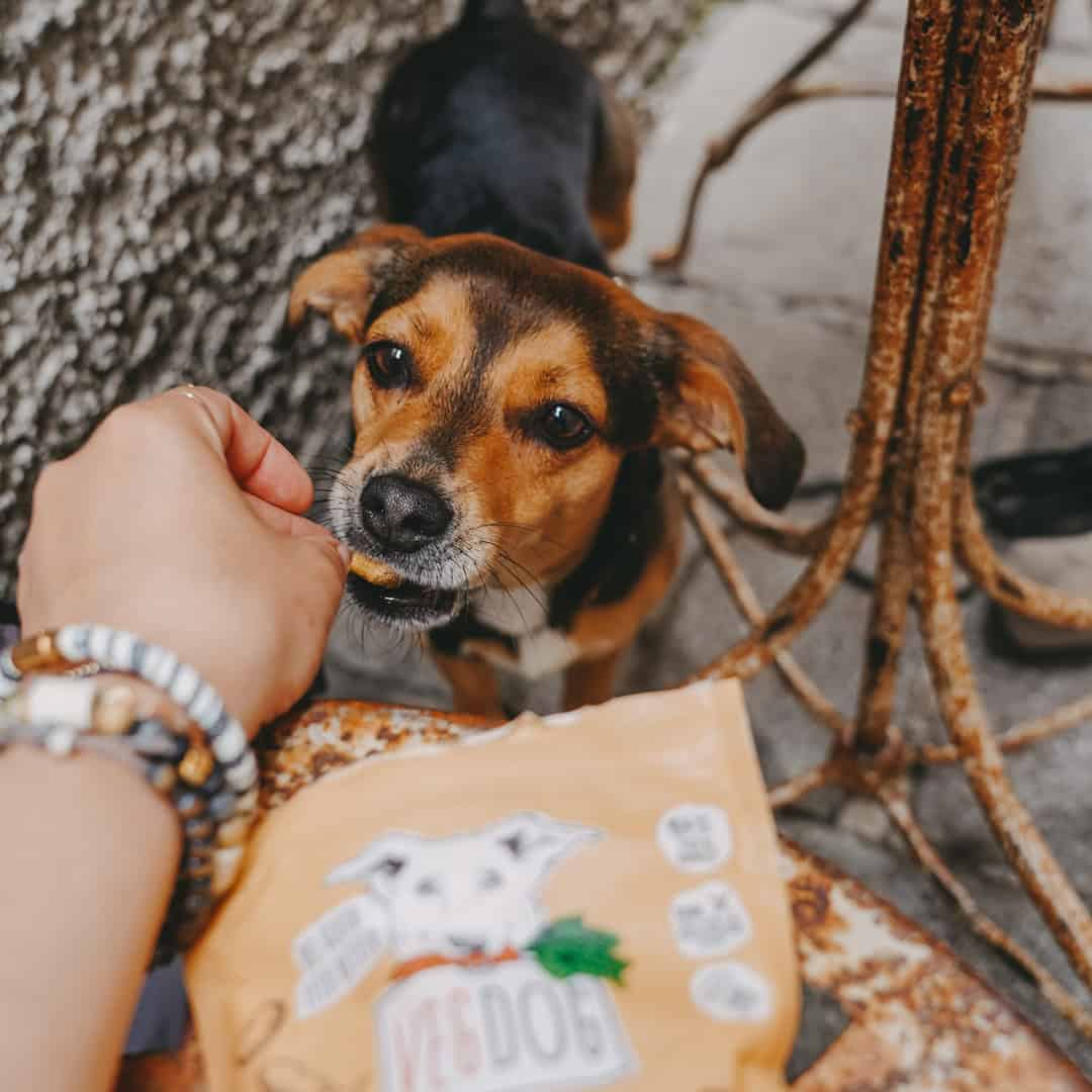 Vegdog - Veggies Immune – Bild 2