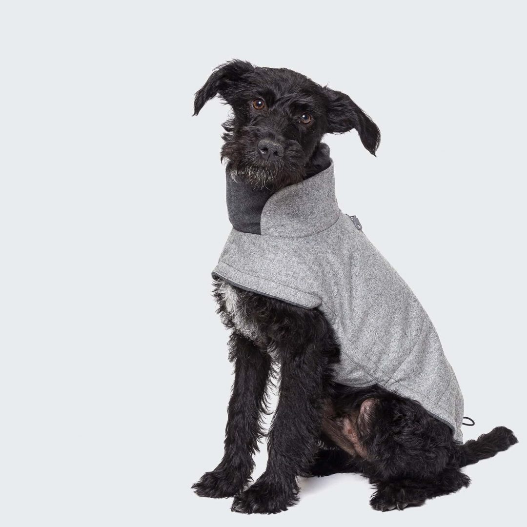Cloud 7 - Hundemantel Brooklyn Flanell Grey – Bild 5