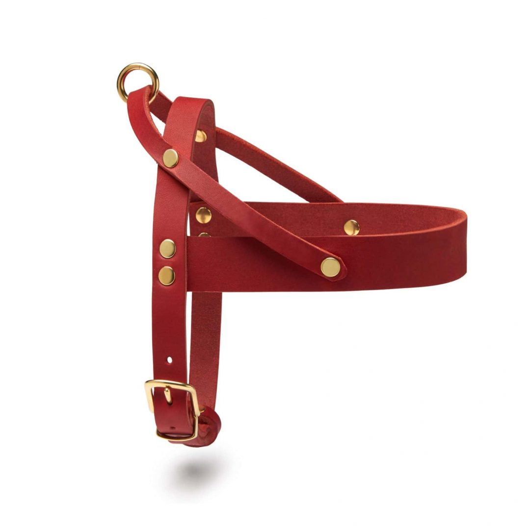 Ledergeschirr red