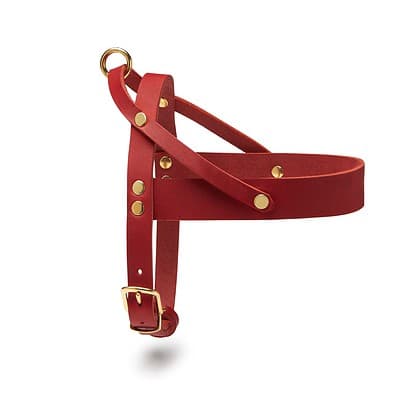Ledergeschirr red