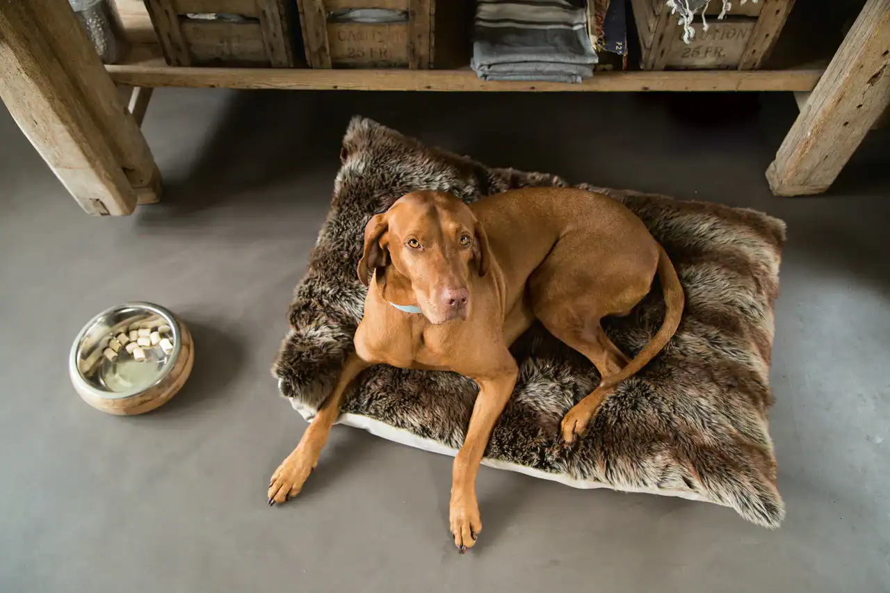 Designed by Lotte - Holznapf Mandira – Bild 4