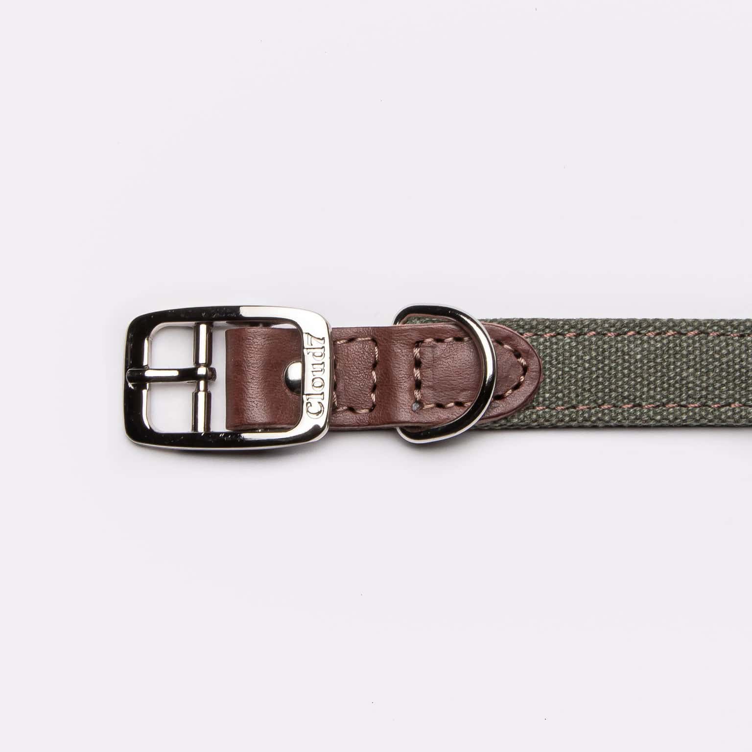 Cloud 7 - Hundehalsband Tivoli Olive – Bild 2
