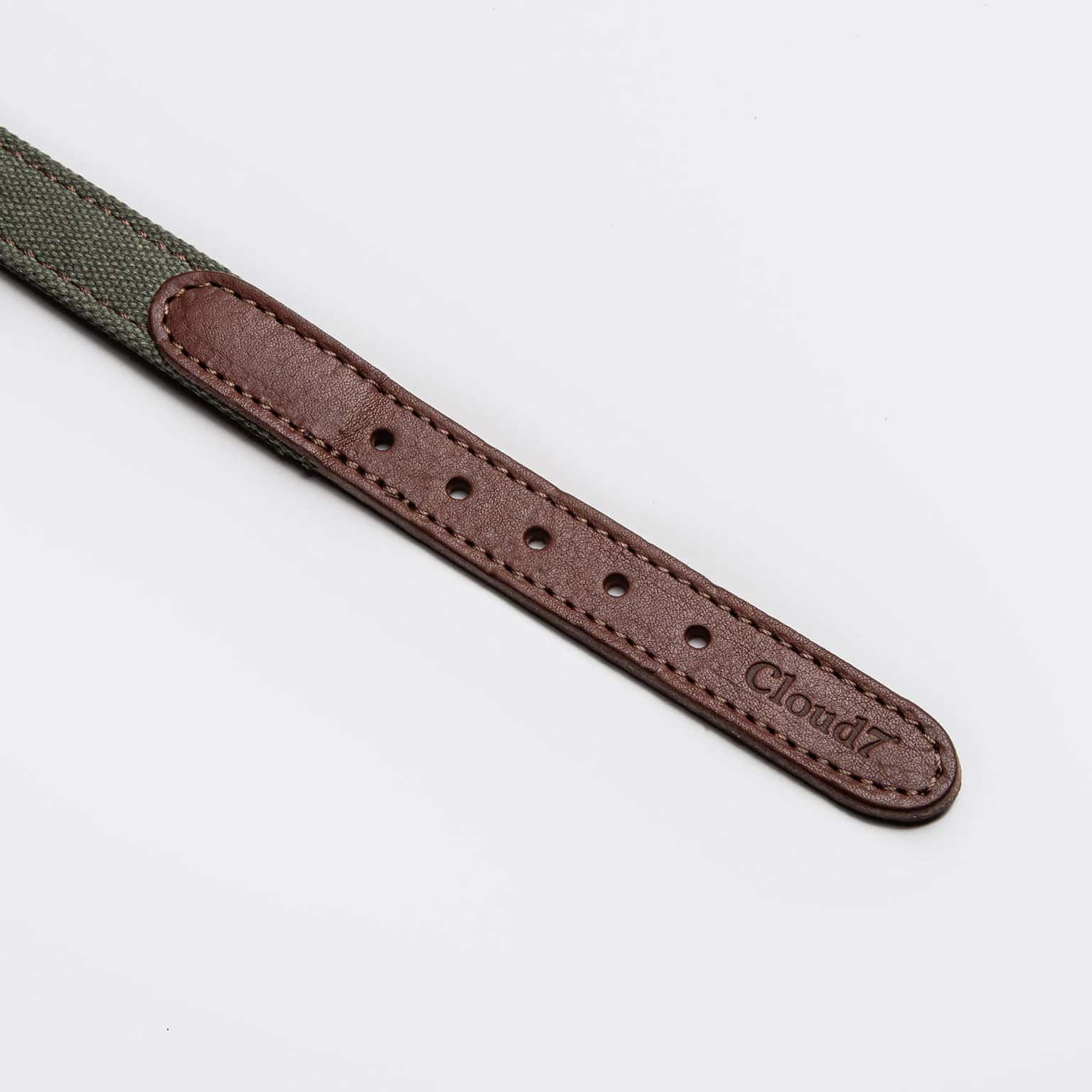 Cloud 7 - Hundehalsband Tivoli Olive – Bild 3