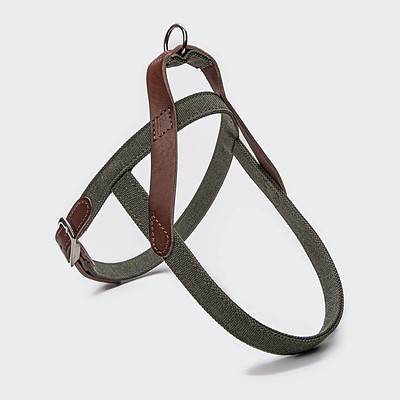 Hundegeschirr Tivoli Olive