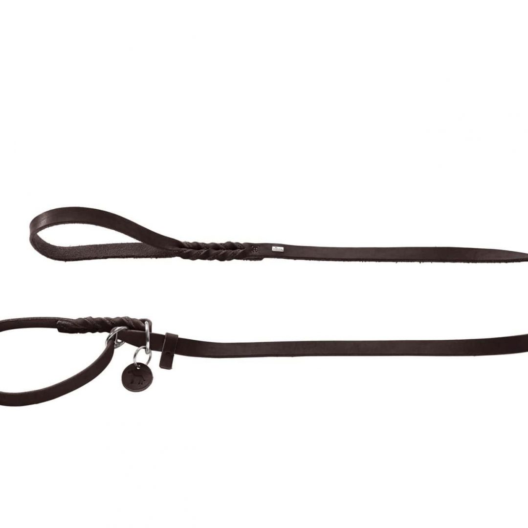 Hunter - Retrieverleine Solid Education dunkelbraun – Bild 3