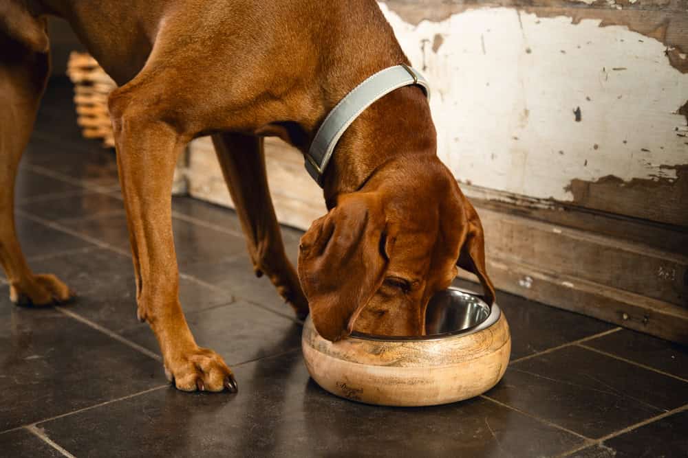 Designed by Lotte - Holznapf Mandira – Bild 2