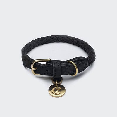 Cloud 7 - Hundehalsband Ravello Black