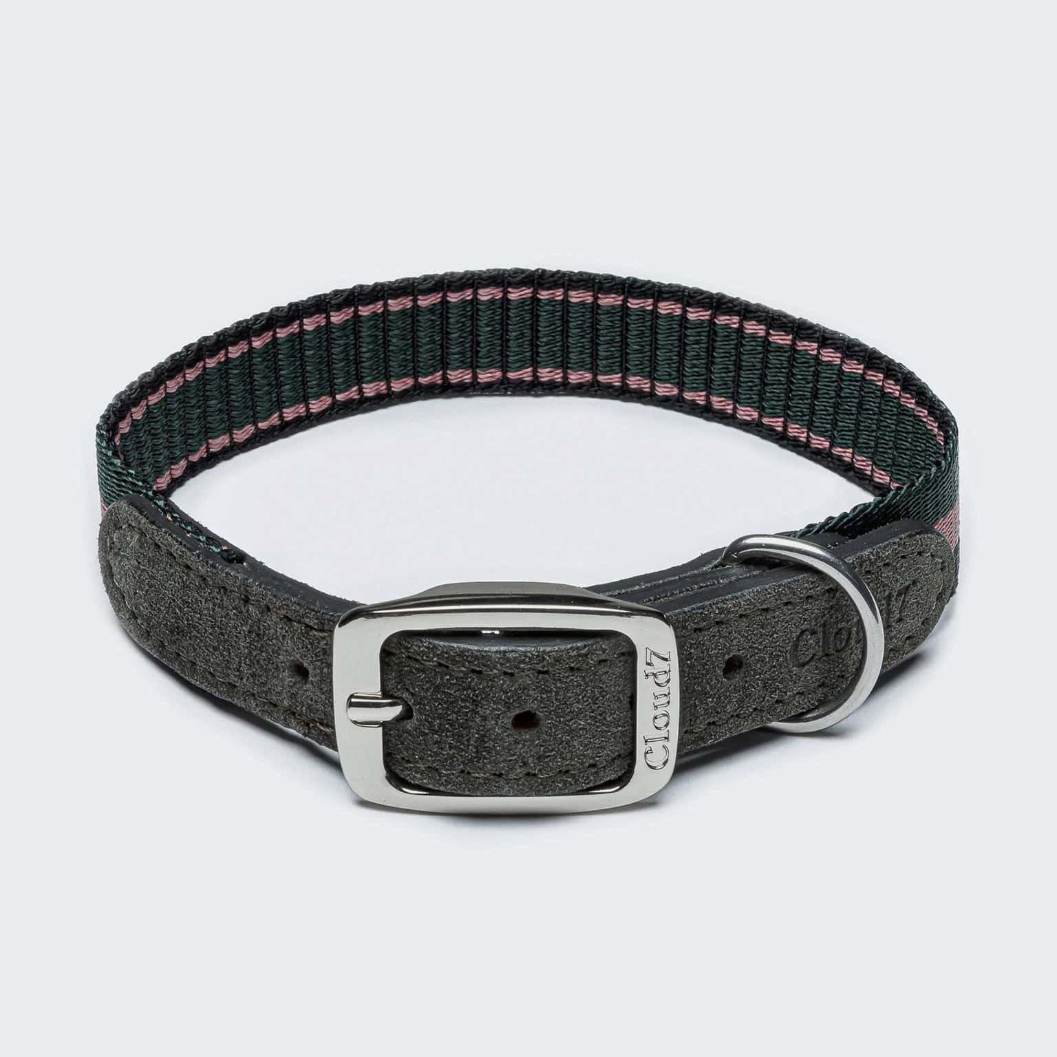 Halsband Olympiapark Forest