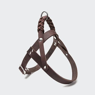 Cloud7 Hundegeschirr Saddle Brown