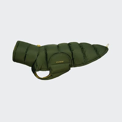 Alaska Windhund Olive