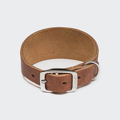 Windhundhalsband Regent Park Camel