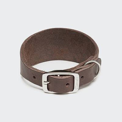 Windhundhalsband Regent Park Saddle Brown