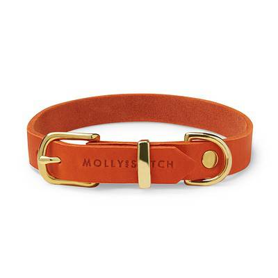 Lederhalsband Mango