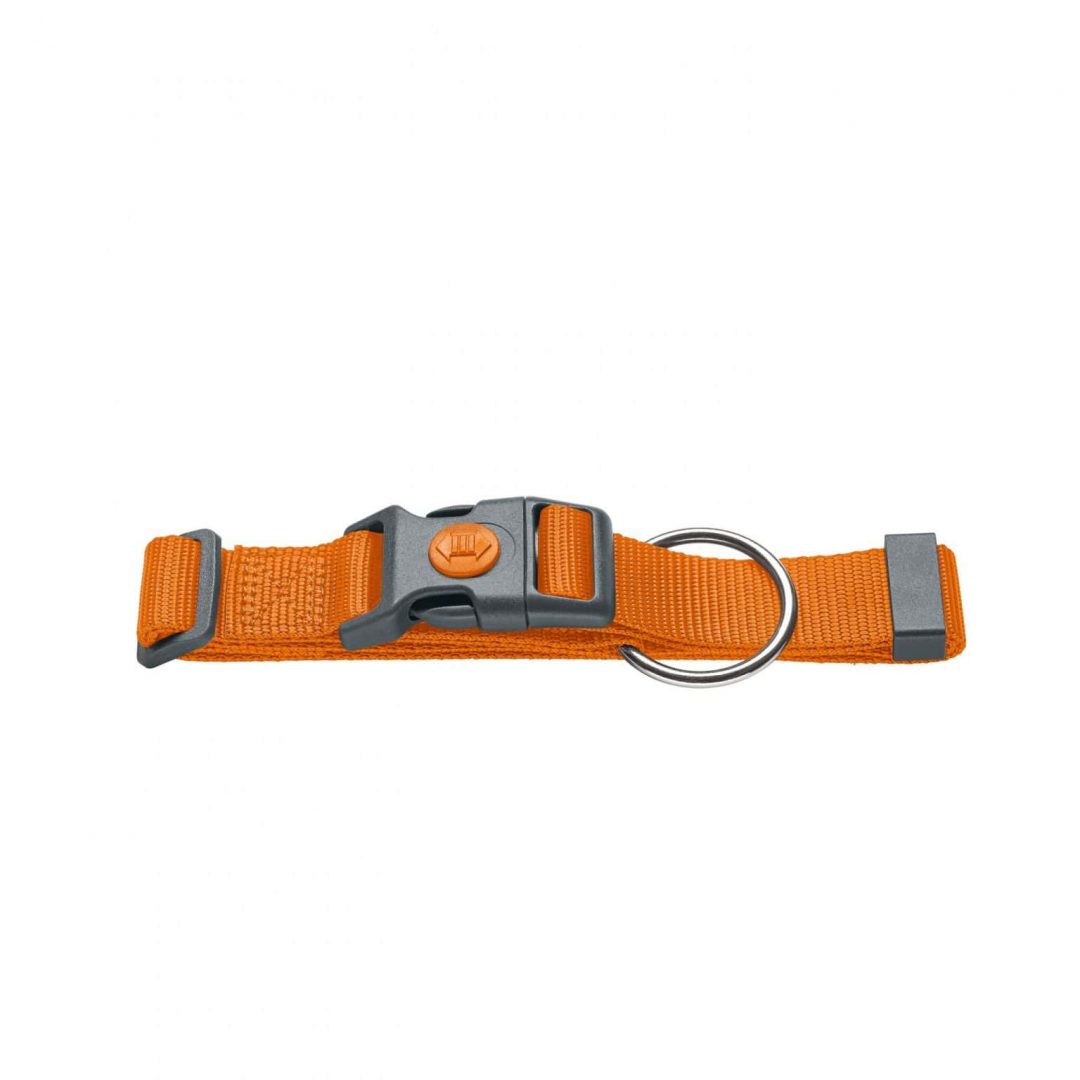 Hunter - Halsband London orange – Bild 2