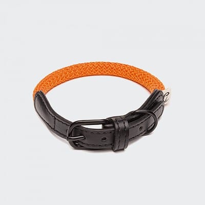 Halsband Mauerpark Orange