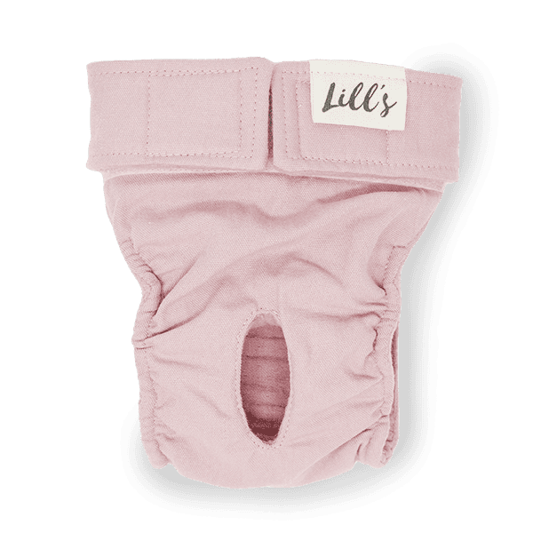 Lill´s - Läufigkeitshöschen – Bild 2