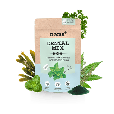 Dentalmix